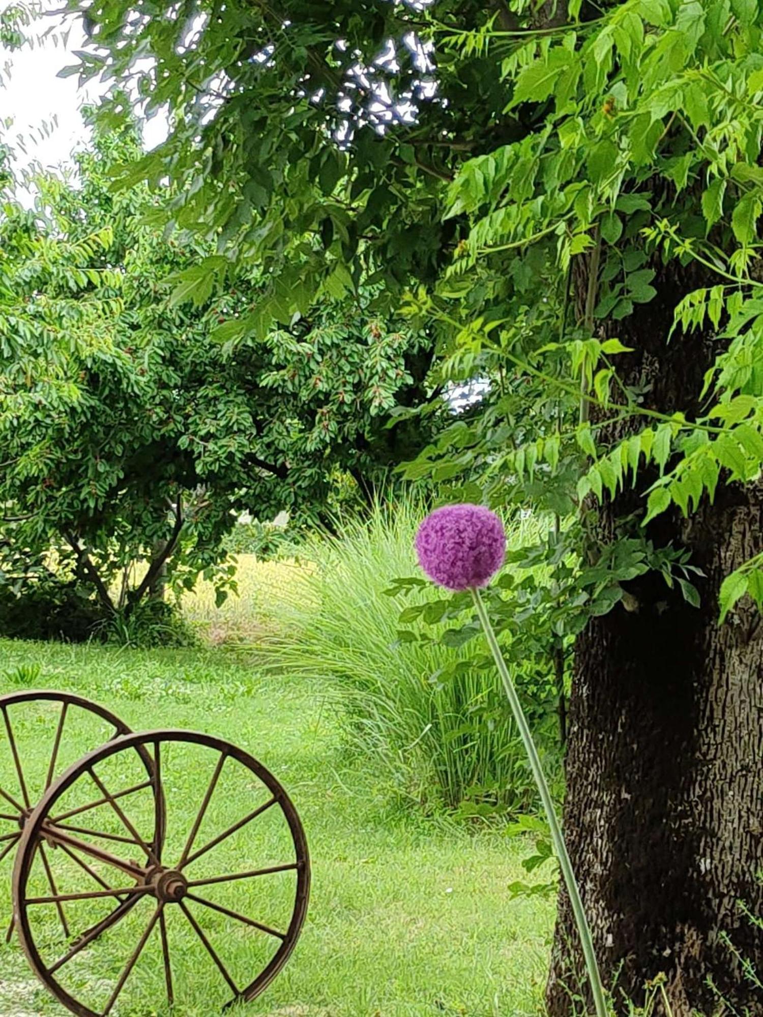 Ca Veja B&B Forlì Esterno foto
